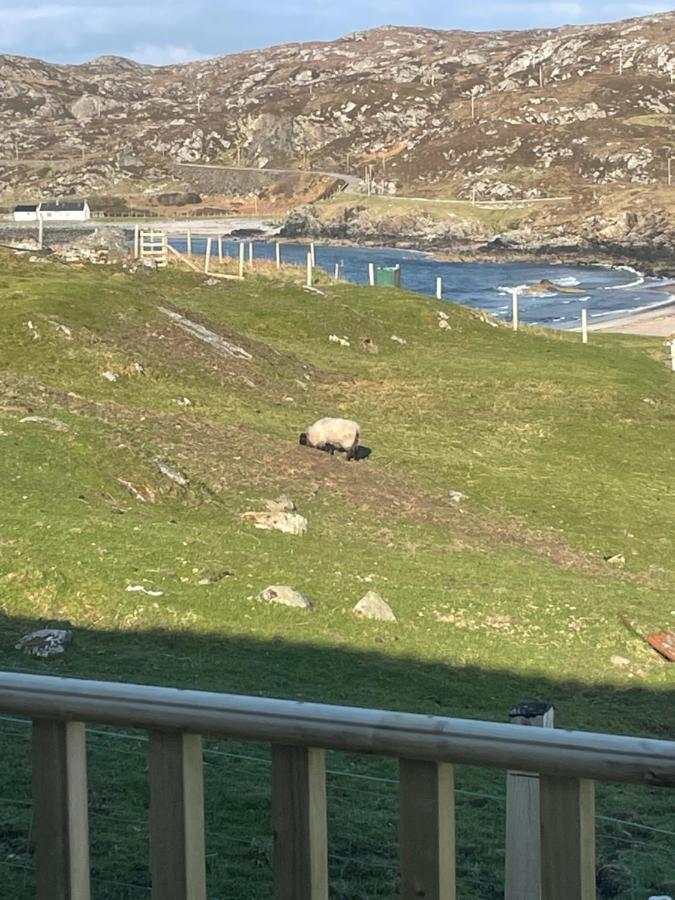 Clashnessie Sea View Cabin מראה חיצוני תמונה